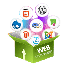 Website Development image in Digital Marketing Services